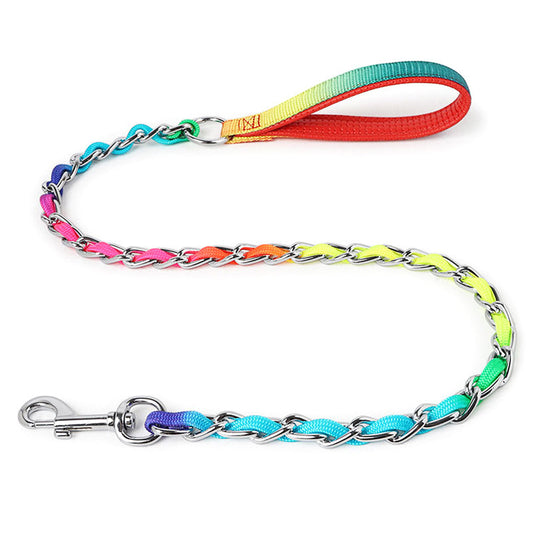Ulysses Rainbow Metal Dog Leash – Medium/Small Breeds